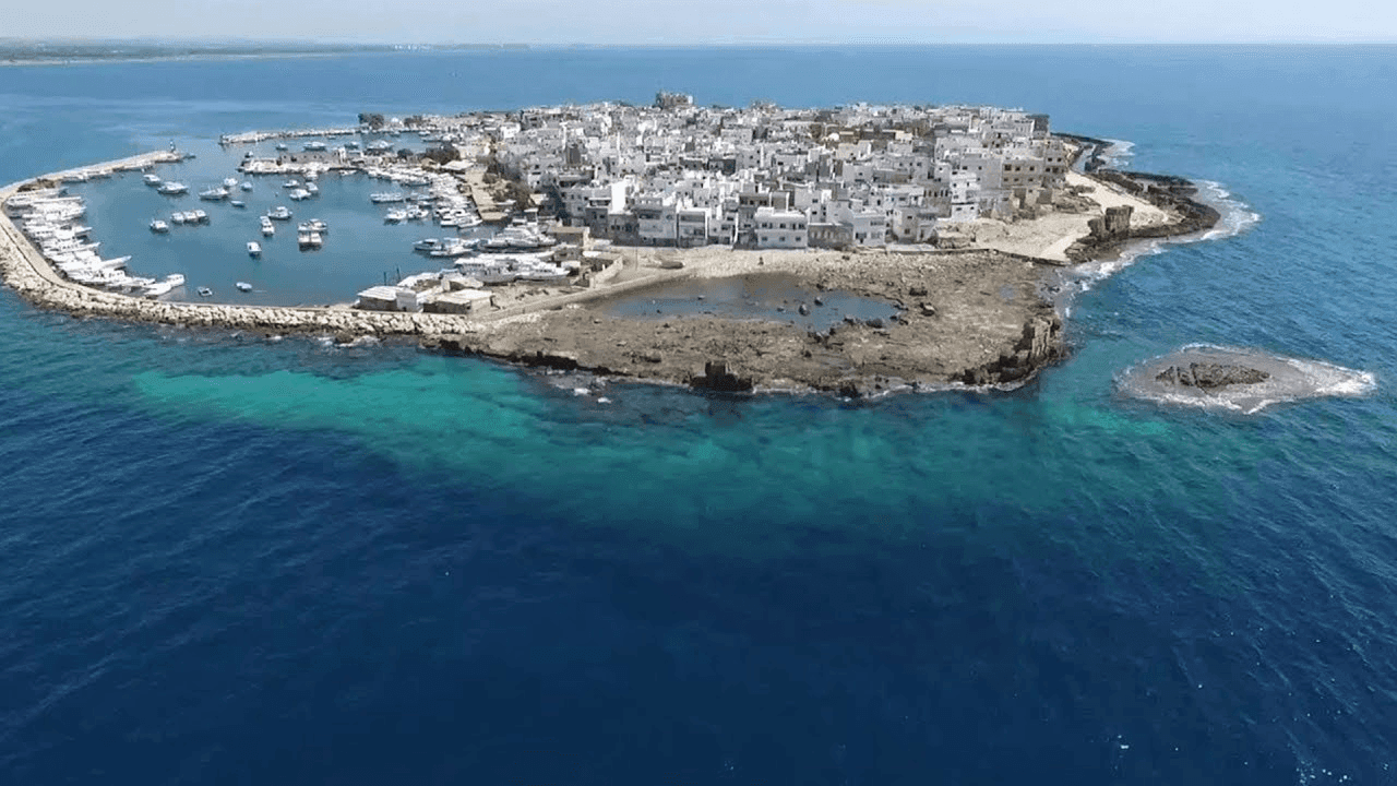 فنادق أرواد