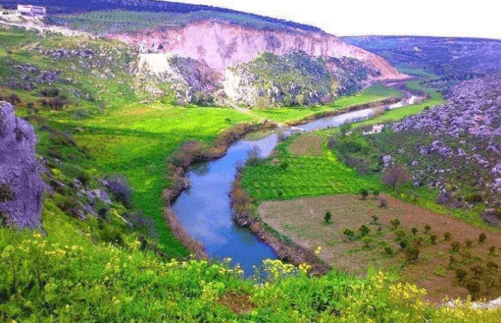 فنادق إدلب